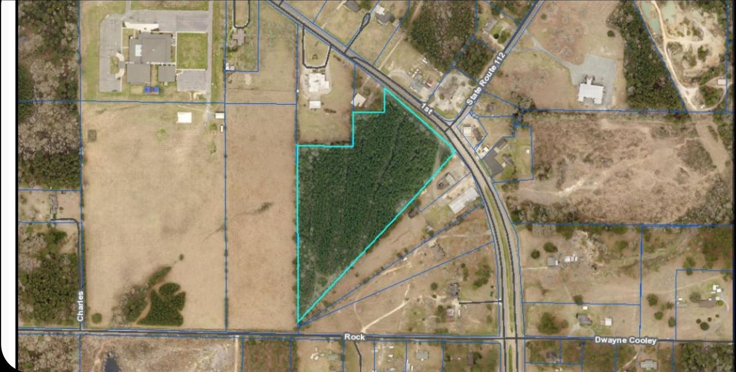TBD Hwy 171, South: TBD Hwy 171, South, Deridder, LA 70634